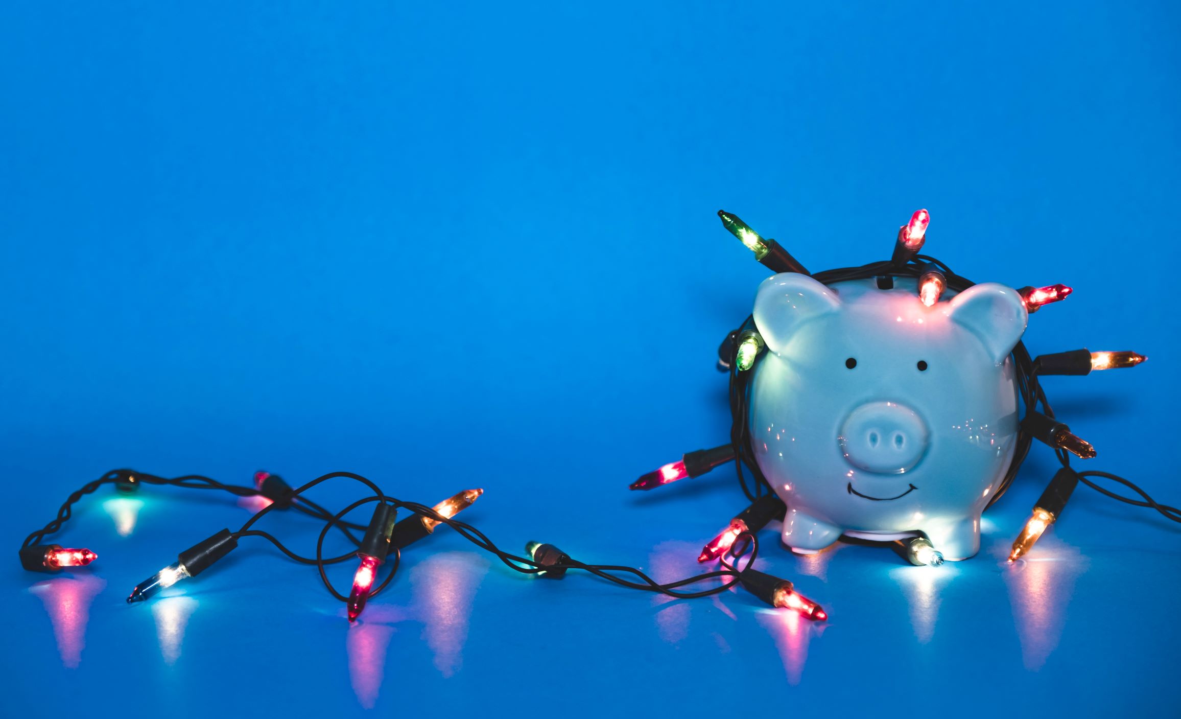 Blue piggy bank with green and red string lights